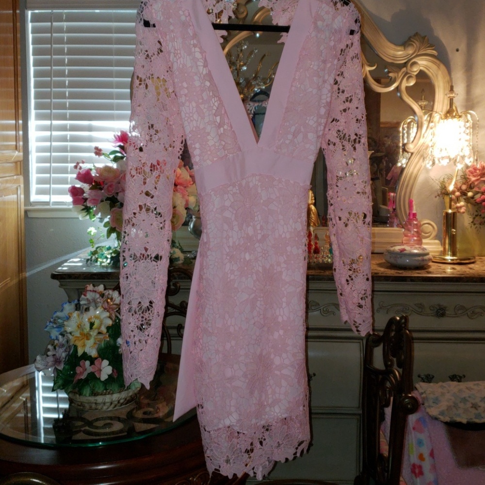 BeUtiful pink lace dress brand new without tags.